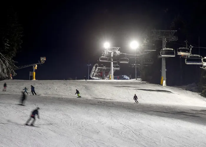 Bergresort * 빈터베르크