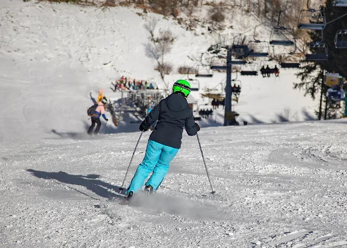 Semesterpark Bergresort *